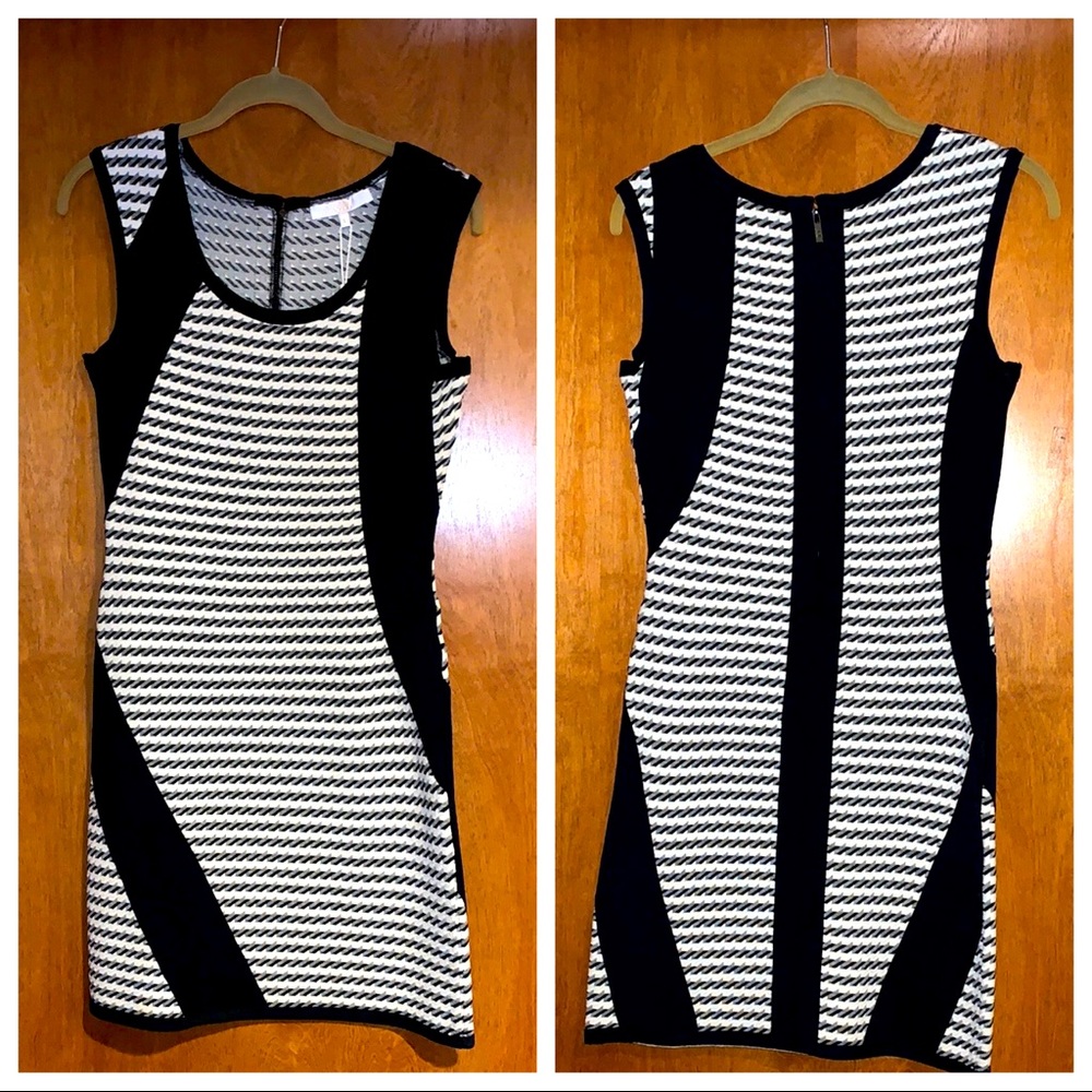 Curve hugging sleeveless sheath dress